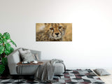 shutterstock_373832842Mj2i1EHFaaUHB_1280x1280.jpg