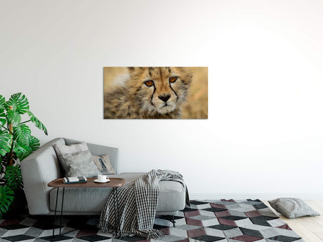 shutterstock_373832842Mj2i1EHFaaUHB_1280x1280.jpg