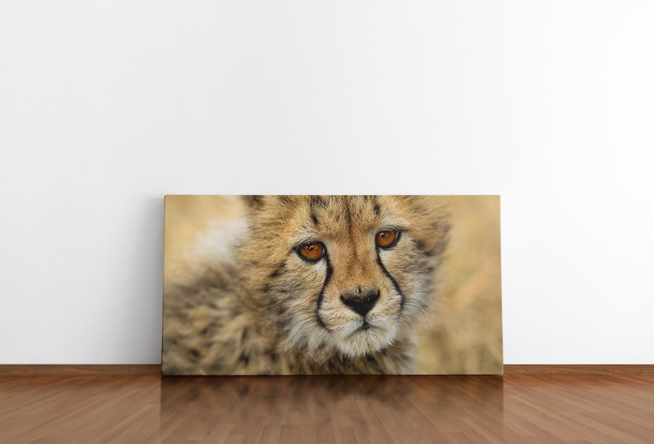shutterstock_373832842NER80RoA5fZxv_1280x1280.jpg