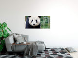 shutterstock_3833037583rjV1o6sqzMC7_1280x1280.jpg