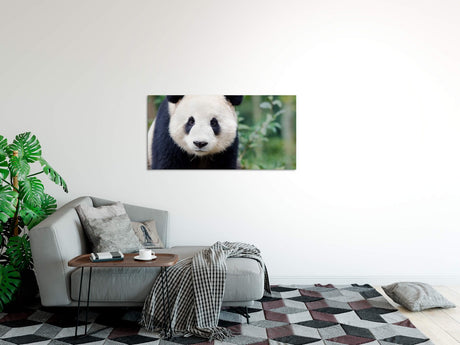 shutterstock_3833037583rjV1o6sqzMC7_1280x1280.jpg