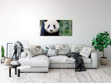 shutterstock_383303758hMoCj5oDfL24m_1280x1280.jpg