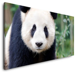 shutterstock_383303758vllB9Ct6VmZp1_1280x1280.jpg