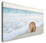 shutterstock_3841095013ApD76GnqvaoP_1280x1280.jpg