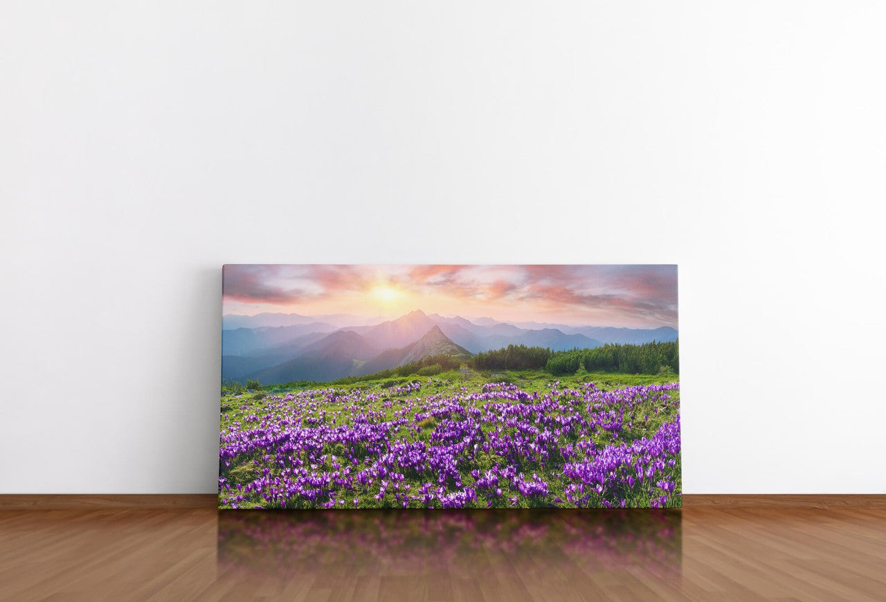 shutterstock_3859274955TmCFFx6c0tjP_1280x1280.jpg