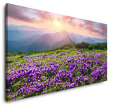 shutterstock_3859274955ZY8mkoFOY3hy_1280x1280.jpg