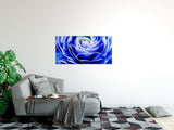 shutterstock_389760724O9VlLa3KPz3OR_1280x1280.jpg
