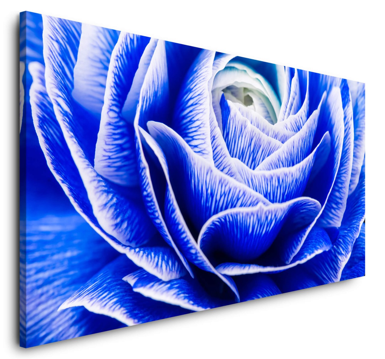 shutterstock_389760724UiTq55zpbQCLQ_1280x1280.jpg
