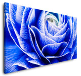 shutterstock_389760724UiTq55zpbQCLQ_1280x1280.jpg