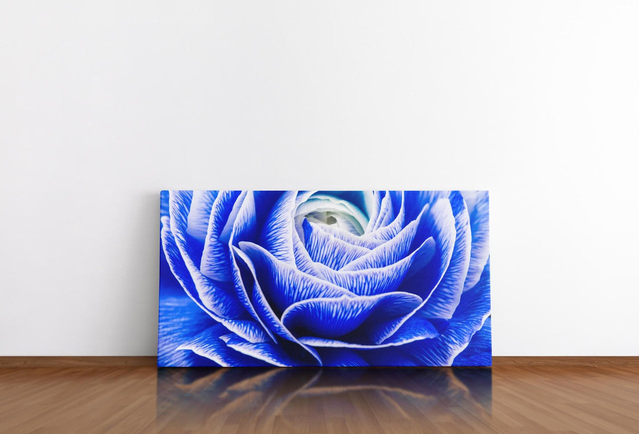 shutterstock_389760724h4m4cISuU8IPH_1280x1280.jpg