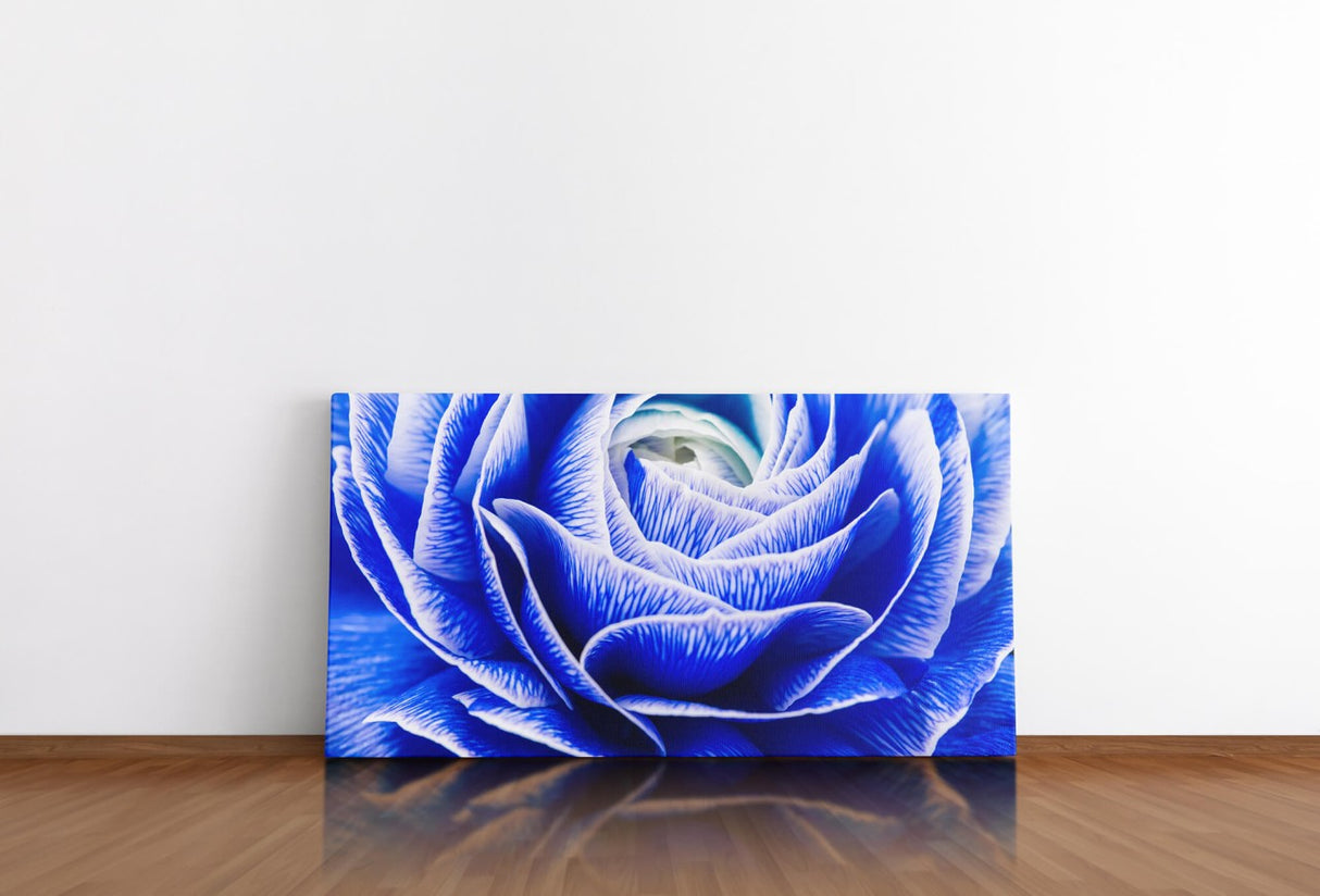 shutterstock_389760724h4m4cISuU8IPH_1280x1280.jpg