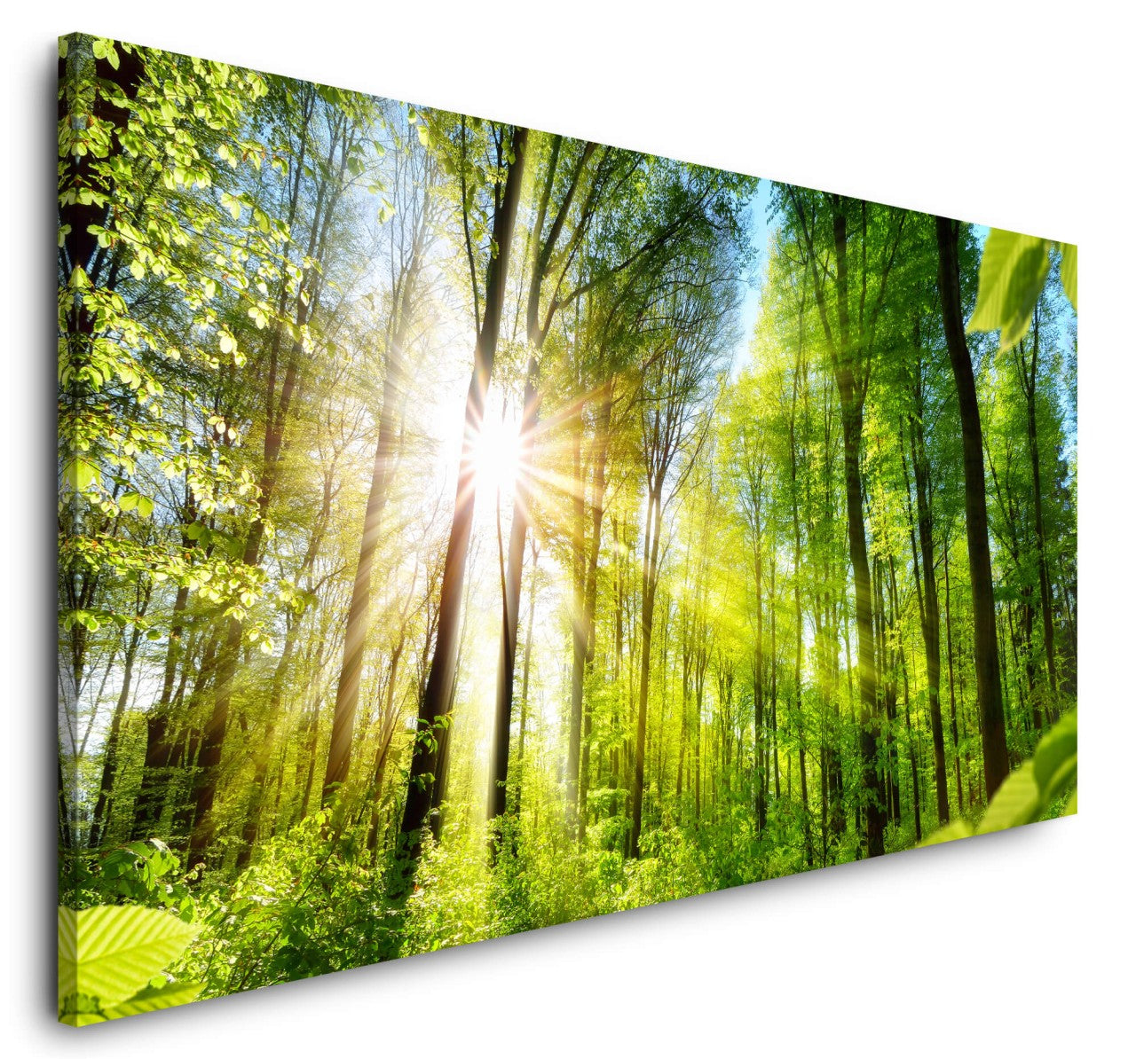 shutterstock_393414121HqxyS2OSzWsdq_1280x1280.jpg