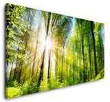 shutterstock_393414121HqxyS2OSzWsdq_1280x1280.jpg