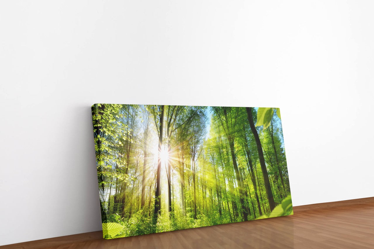 shutterstock_393414121cSckAfa7DUldx_1280x1280.jpg