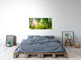 shutterstock_393414121pr3bUvZ7fZuQO_1280x1280.jpg