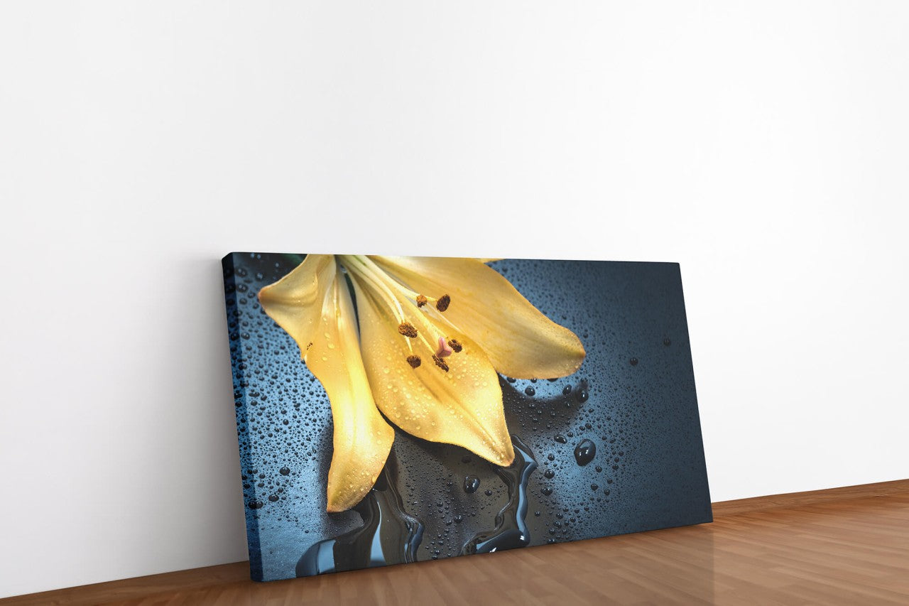 shutterstock_3964928955sniOFp5CbQfM_1280x1280.jpg