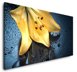 shutterstock_396492895f6o2KpPfz2OrL_1280x1280.jpg