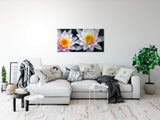 shutterstock_403943QUUHZEc9uCkZa.jpg
