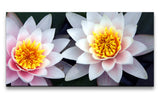 shutterstock_403943h7WwoxNfMg3aj.jpg