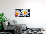 shutterstock_403943stG6VUIhsiPM4.jpg