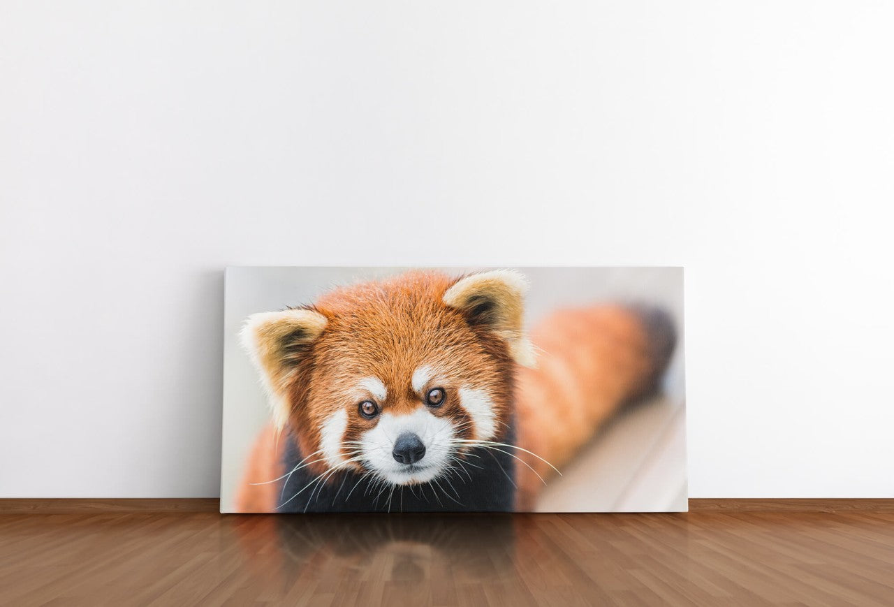 shutterstock_405616669EdwPeHsgwnAuL_1280x1280.jpg