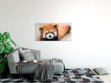 shutterstock_405616669X7SYmhBIbimpx_1280x1280.jpg