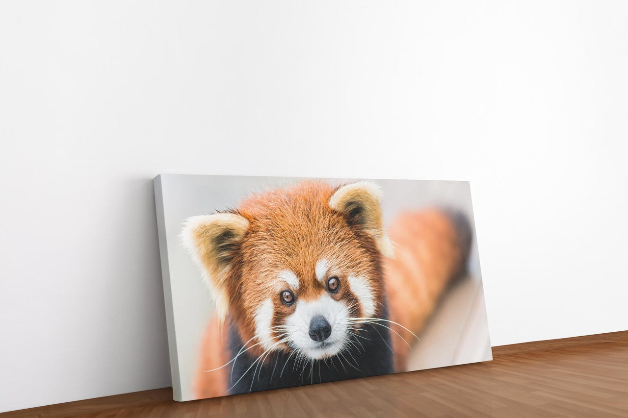 shutterstock_405616669mMbN54yXscGJ6_1280x1280.jpg