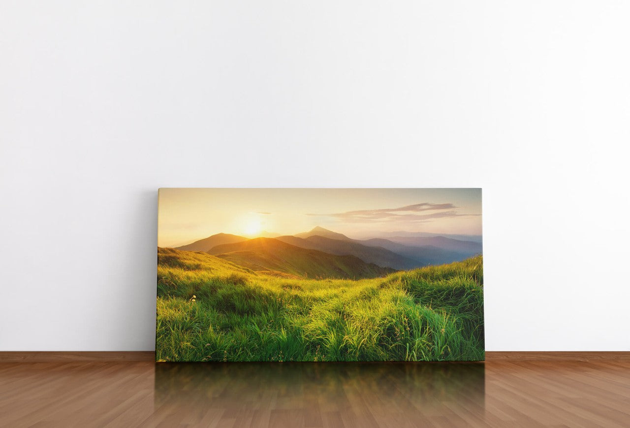 shutterstock_407021107CsPPnEEXP4ceY_1280x1280.jpg