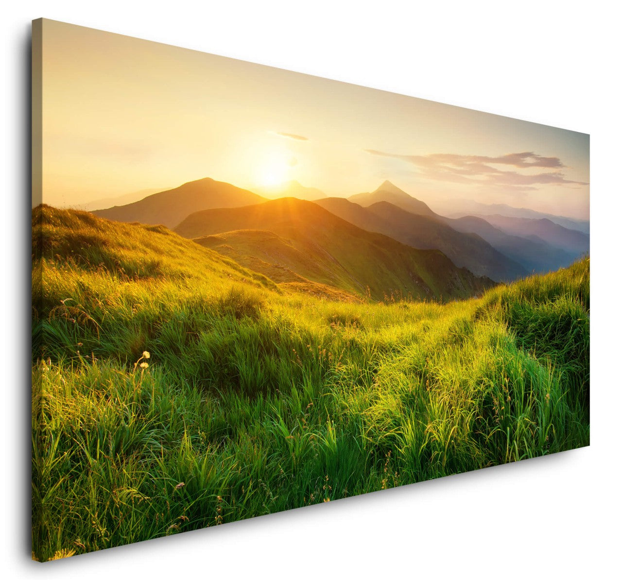 shutterstock_407021107ydp27pAfDp6qe_1280x1280.jpg