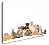 shutterstock_434207911LdGe2zZWiAhp4_1280x1280.jpg