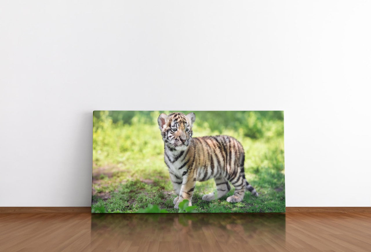 shutterstock_4587052698VPHMlofsTHut_1280x1280.jpg