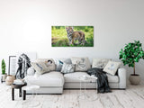 shutterstock_458705269P7Seq8yhe3M1u_1280x1280.jpg