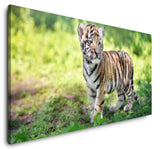 shutterstock_458705269T7ePZtbnKxrhi_1280x1280.jpg