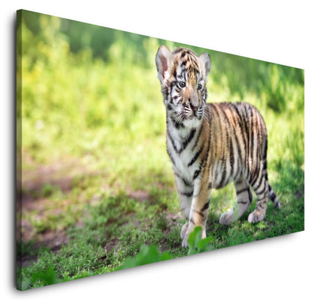 shutterstock_458705269T7ePZtbnKxrhi_1280x1280.jpg