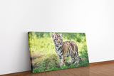 shutterstock_458705269axmbC4MecUJ6T_1280x1280.jpg