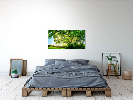 shutterstock_474495670R5iZ8scxwVjKG_1280x1280.jpg
