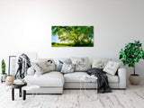 shutterstock_474495670Y07OlwxZW9aIM_1280x1280.jpg