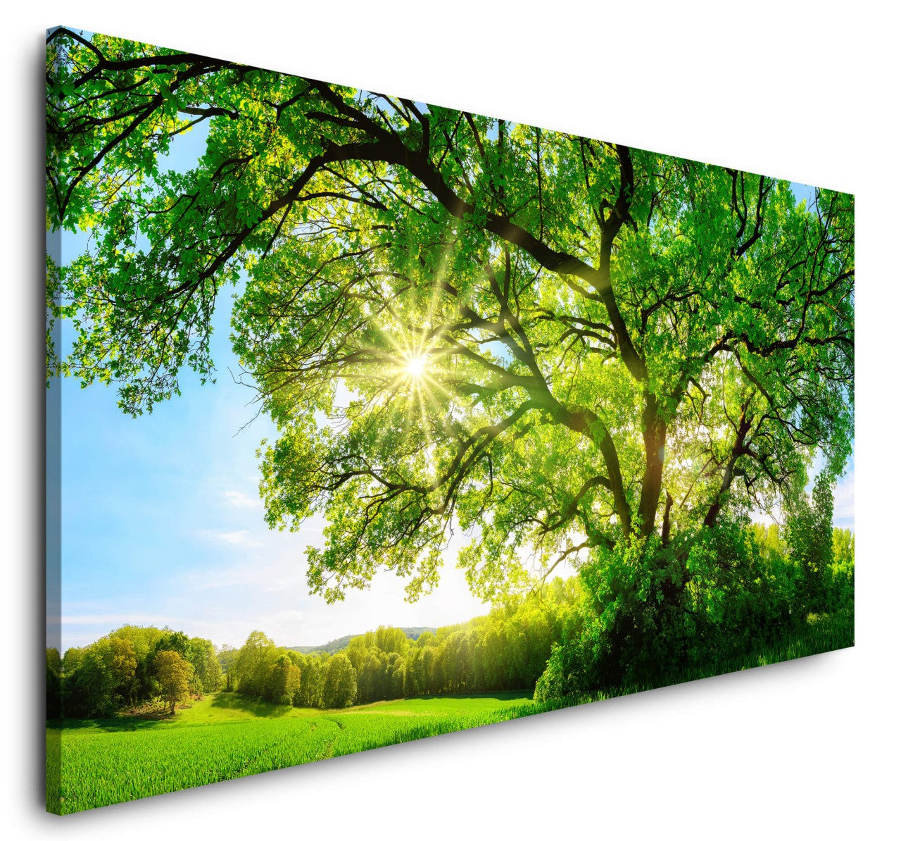 shutterstock_474495670kgow3YtO6d8WY_1280x1280.jpg