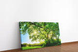 shutterstock_474495670lAwT6FRp3FdUB_1280x1280.jpg