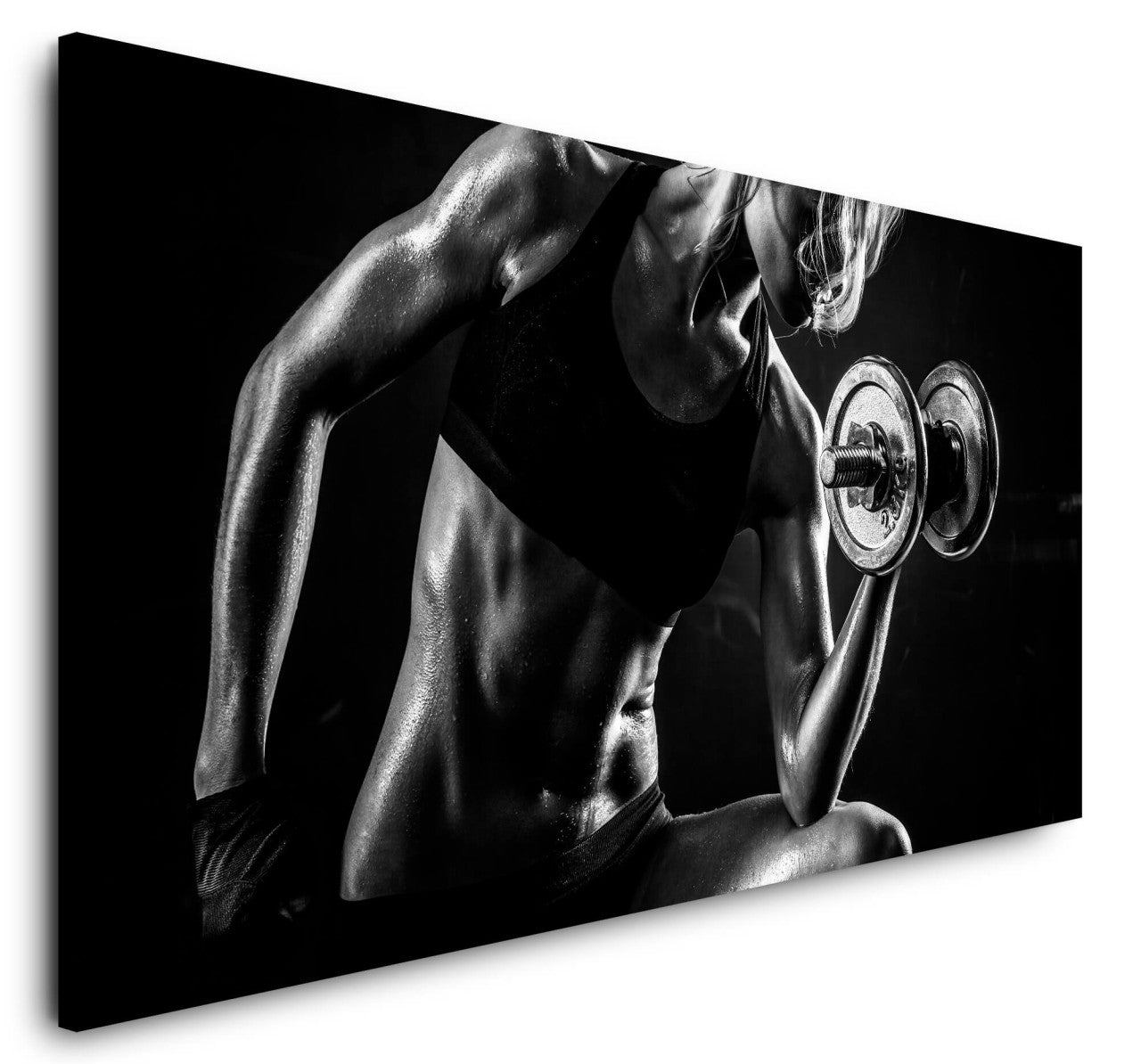 shutterstock_479881255aoaqEWi3NCYTy_1280x1280.jpg