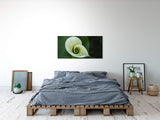 shutterstock_48025231CaPoPMNMLWyR2_1280x1280.jpg