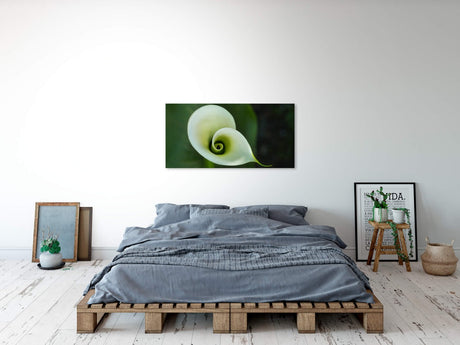 shutterstock_48025231CaPoPMNMLWyR2_1280x1280.jpg