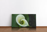 shutterstock_48025231EzcnN8C7NTcXW_1280x1280.jpg