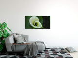 shutterstock_48025231yTlRBhuFzhIpC_1280x1280.jpg