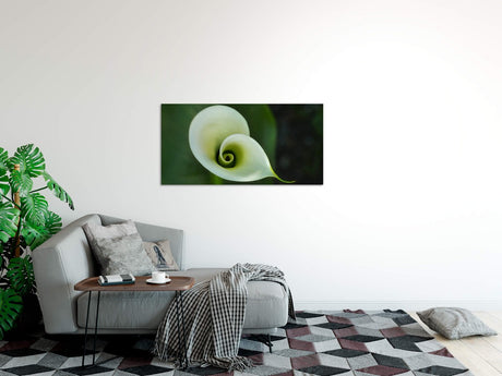 shutterstock_48025231yTlRBhuFzhIpC_1280x1280.jpg
