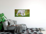 shutterstock_4835194121c4Om41tECCyQ_1280x1280.jpg