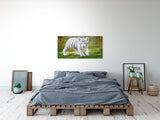 shutterstock_483519412WcftrUMDxZGzX_1280x1280.jpg