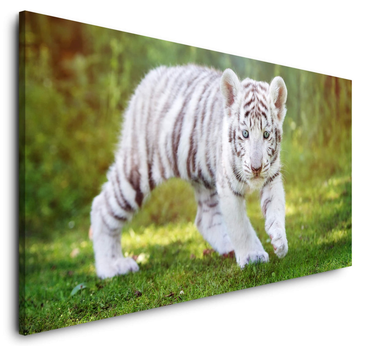 shutterstock_483519412iPc060w24wsOv_1280x1280.jpg