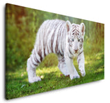 shutterstock_483519412iPc060w24wsOv_1280x1280.jpg