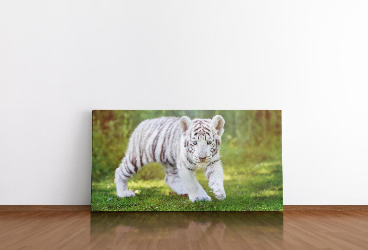 shutterstock_483519412paTDYVnbAZLRR_1280x1280.jpg